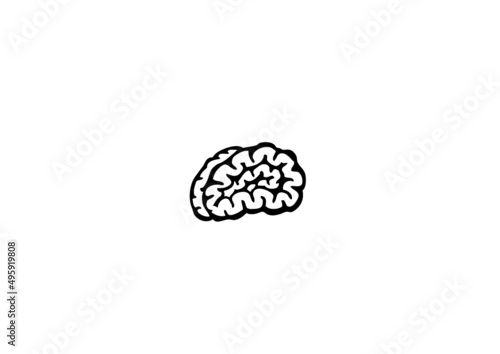 cerveau humain photo
