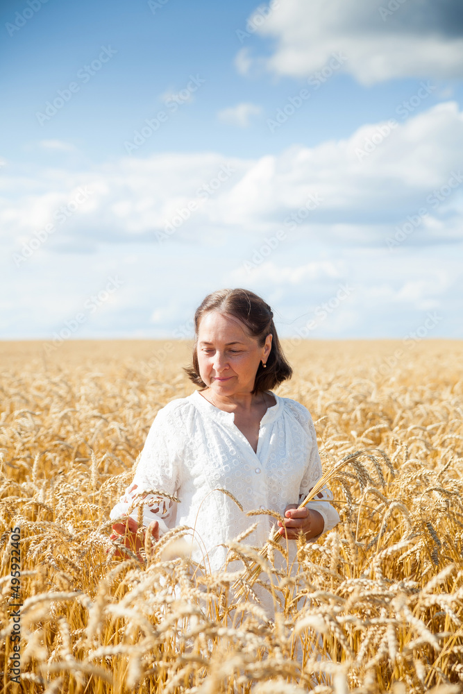 Portrait of   happy smiling senior woman in wheat field