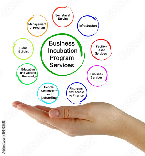 Nine Business Incubation Program Services.