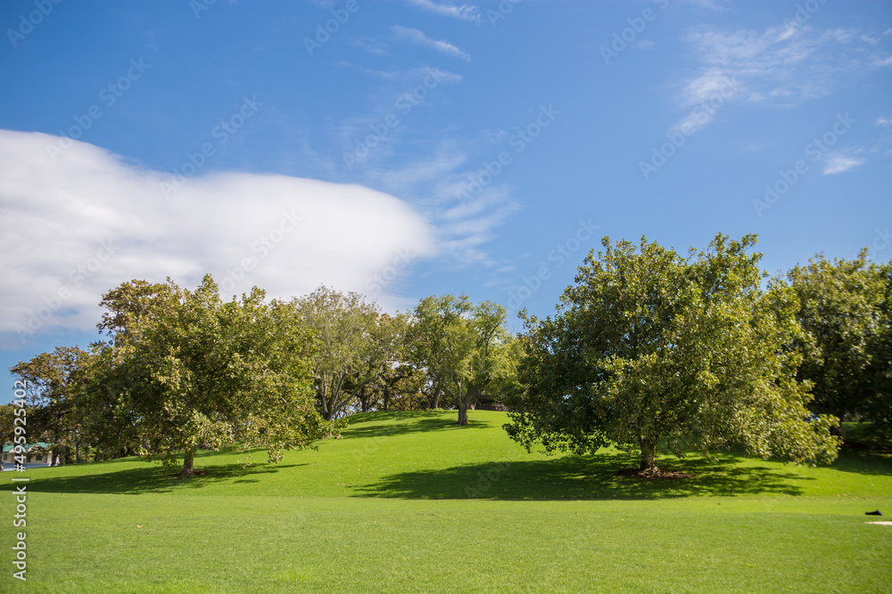 Auckland Domain Park, New Zealand