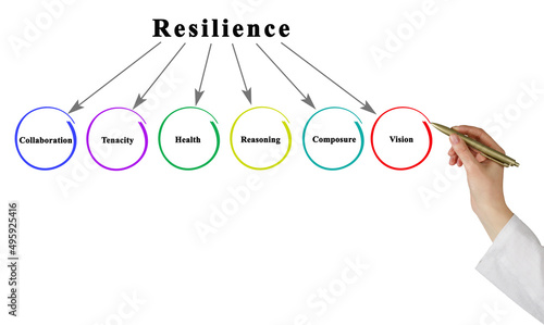 Fényképezés Presenting Six Factors of Resilience