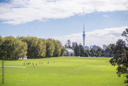 Auckland Domain Park with Sky Tower, New Zealand