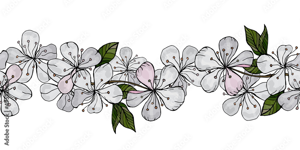 Seamless vector border of blossoming apple trees. Spring flowers, buds, inflorescences, leaves are hand drawn on a white background. Inspirational botanical nature design for cards, invitations, books