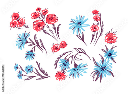 Set flower and leave on watercolor blot. Provence illustration. Tulip flower