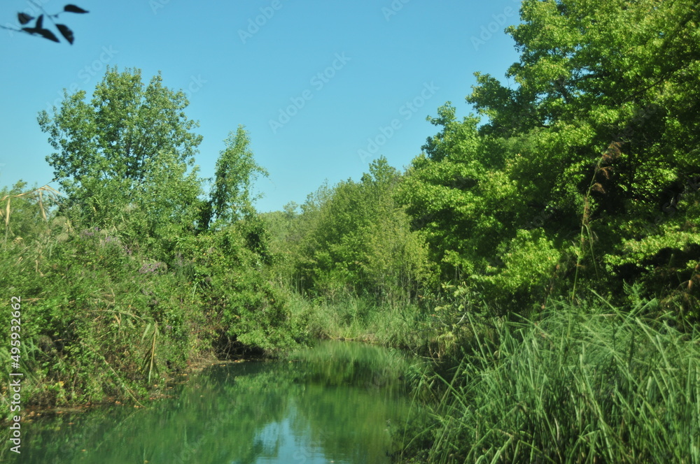 water with trees, river in nature, lake nature trees, nature landscape with trees and lake water with trees, river in nature, lake nature trees, nature landscape with trees and lake
