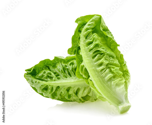 Fresh baby cos lettuce on white background