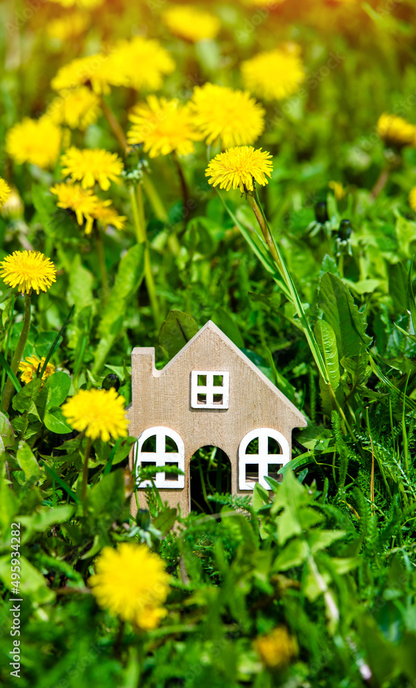 The symbol of the house stands among the yellow dandelions
The symbol of the house stands among the yellow dandelions
