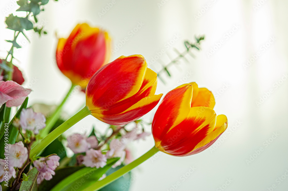 Tre tulipani Tre tulipani