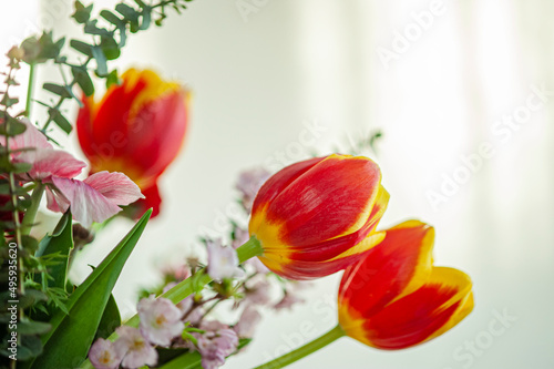3 tulipani rossi e gialli