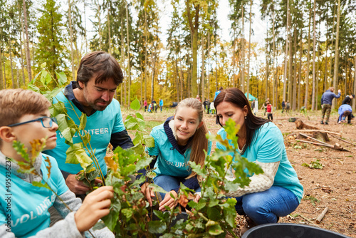 Family as volunteers and environmentalists in the forest