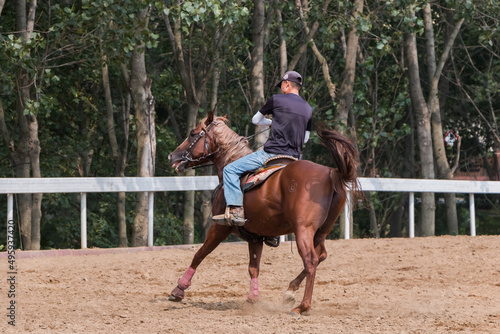 horse farm, young rider on horseback. Horseback riding at the ranch.