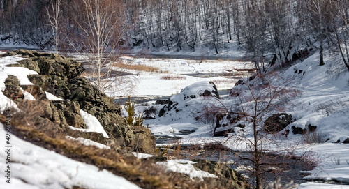 Fast river, rocks, ice, snow, trees, shrubs, dry grass in spring © Александр Коликов