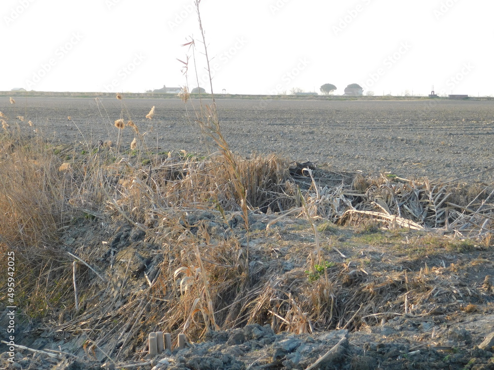 Fototapeta premium in campagna nel mese di ottobre