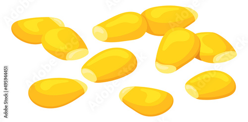 Raw corn grains. Cartoon yellow maize seeds