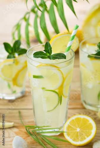 Refreshing cold lemonade with mint