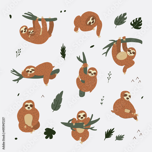 Sloth South America animal vector illustrations set