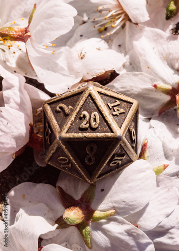Close-up of a metal d20 surrounded by blossom