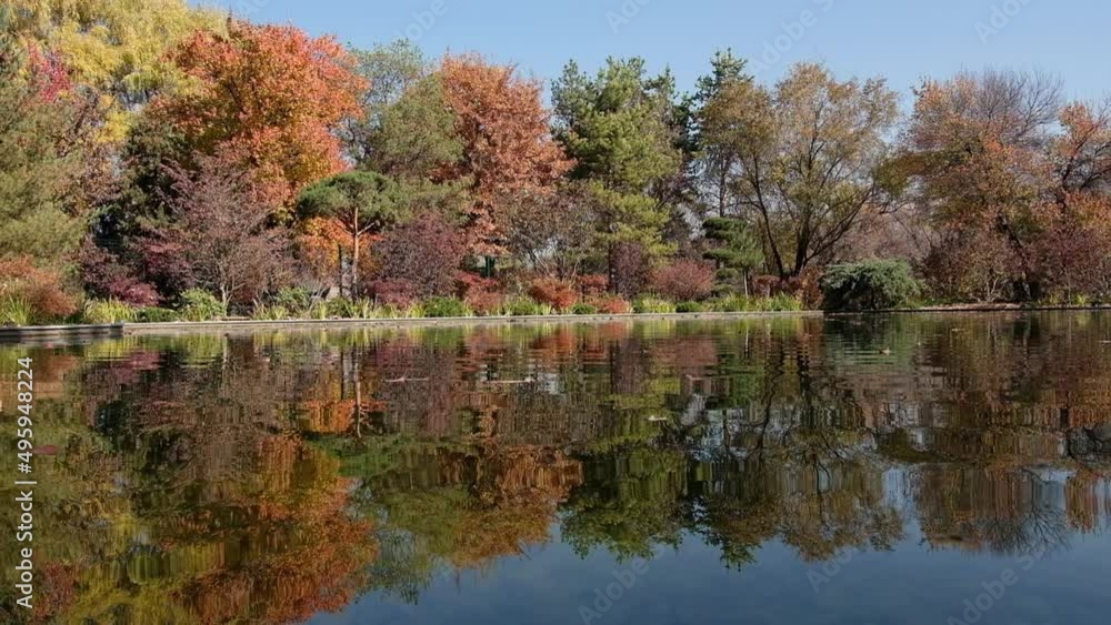 Almaty, Kazakhstan - 10.20.2020 : Reflection on the water surface. City Botanical Garden.
Almaty, Kazakhstan - 10.20.2020 : Reflection on the water surface. City Botanical Garden.