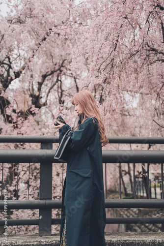 一面の枝垂れ桜を背景に横向きに立っている女性