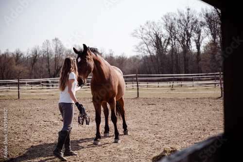 Majestic brown horse gets a treats of feeding from young woman trainer's hand on a ranch in beautiful springtime day at countryside