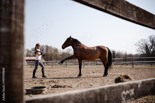 Young female trainer do the groundwork with dressage horse in paddock Fototapet