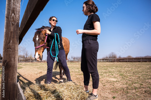 Professional animal trainer teaching young female student how to put bridle on a horse in paddock. Springtime day on animal farm.
