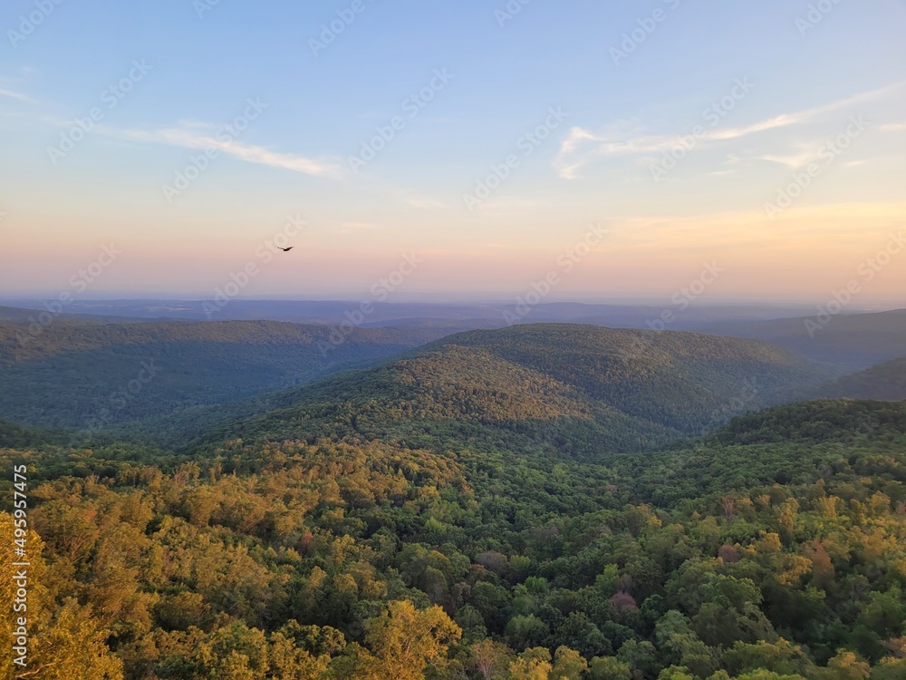 Elevated view of rolling hills in a wooded forest Elevated view of rolling hills in a wooded forest