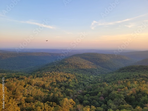 Elevated view of rolling hills in a wooded forest © Thad