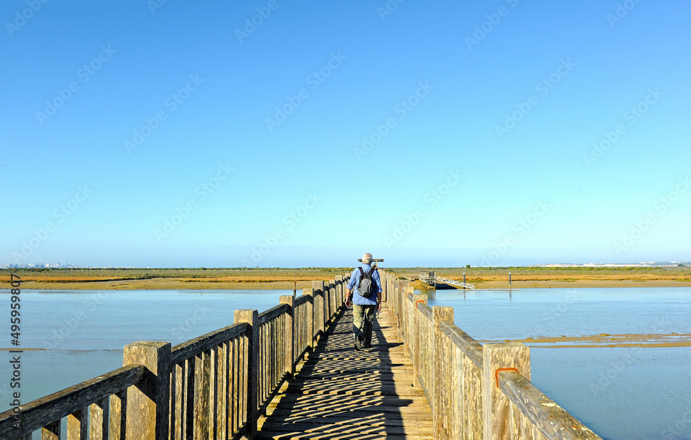 Fototapeta premium Senderista cruzando el puente sobre el Río San Pedro. Marisma de los Toruños y Pinar de la Algaida. Parque Natural Bahía de Cádiz, Andalucía, España.