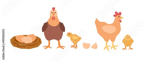 A set of two mother chickens  two yellow chicks and a nest of eggs. Vector illustration in flat style.