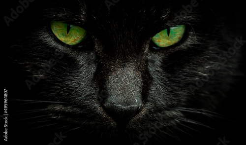 Black cat with green eyes
