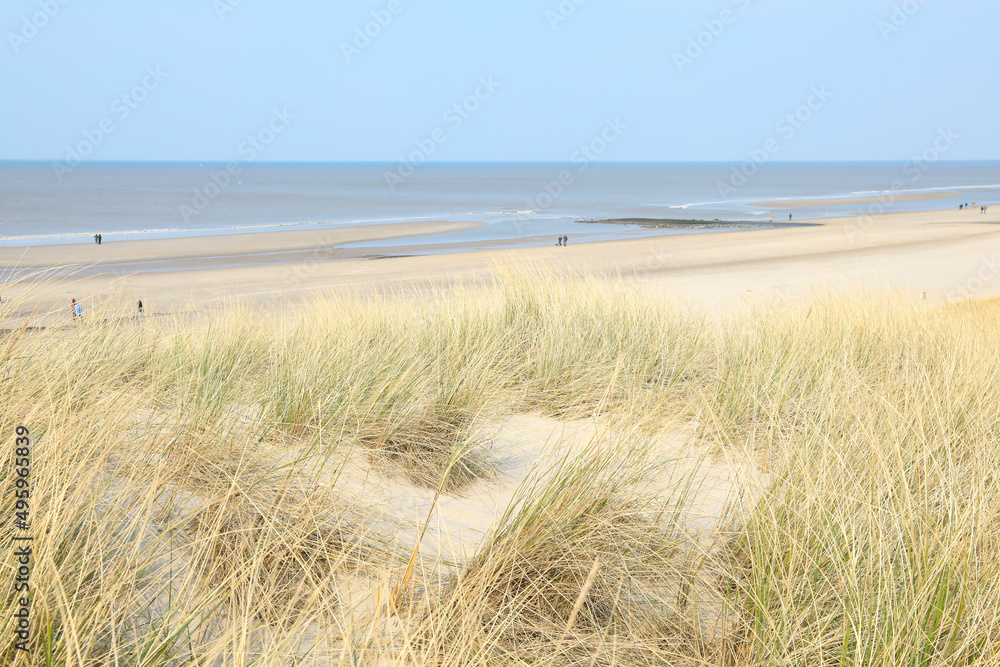 Idyllic beach near Den Helder in North Holland, Netherlands Idyllic beach near Den Helder in North Holland, Netherlands