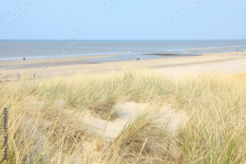 Idyllic beach near Den Helder in North Holland  Netherlands