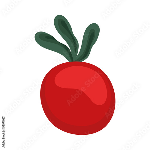 fresh tomato vegetable