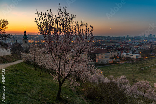 Canvas Print View over Prague skyline from Petrin hill at spring