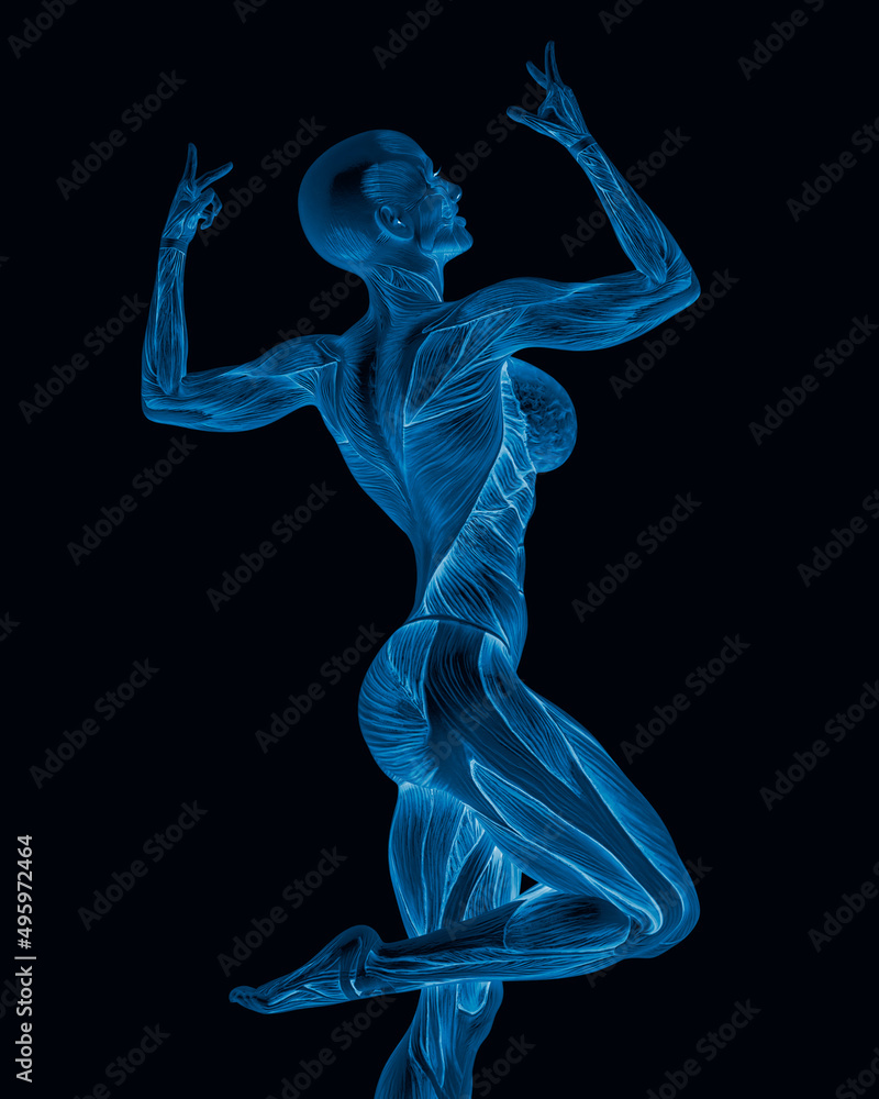 female bodybuilding in muscle maps is doing a bodybuilder pose three in white background close up view