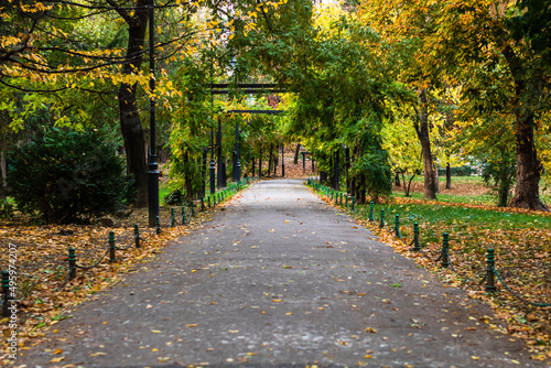 Empty alley in Cismigiu park in Bucharest, capital city of Romania photo