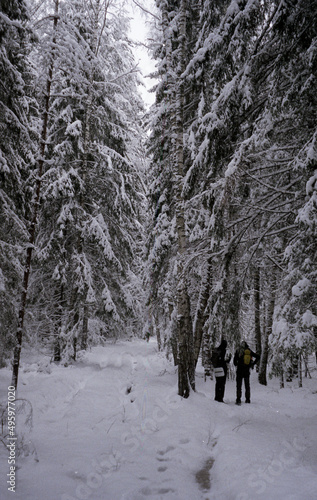 Winter Tracking. Tourists in the winter forest.