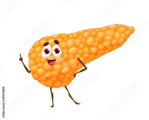 Human funny cartoon pancreas character, body and anatomy organ with vector cute face. Medicine and health of human digestive and endocrine system, healthy cheerful pancreas