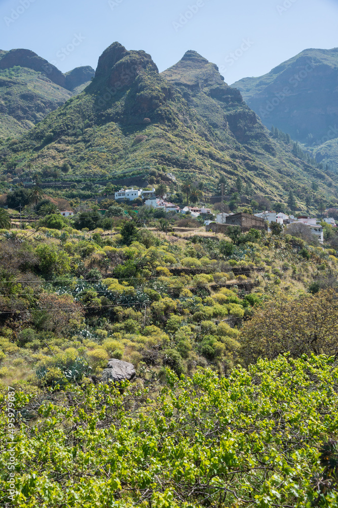 Paisaje rural en el municipio de Agaete, en la zona norte de la isla de Gran Canaria