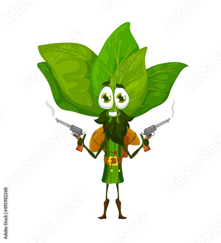 Cartoon cowboy or ranger spinach character. Funny vector robber or gangster bandit wear hat, belt and boots stand with steaming guns. Isolated fantasy food, western greenery adventurer personage