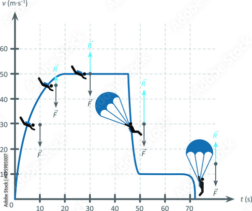 Isolated vector illustration of speed versus time graph referring to the movement of a skydiver.