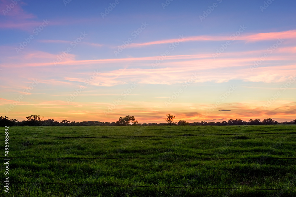 Open Field With Colorful Sky At Sunset-5332