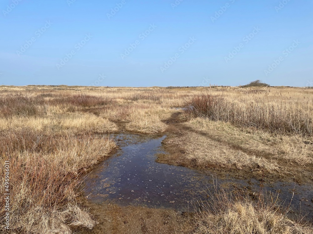 Die Salzwiese Leegde auf Spiekeroog ist an diesem sonnigen Frühlingstag überflutet. Zuvor war in einem Sturm das Wasser der Nordsee stark aufgelaufen. Die Salzwiese Leegde auf Spiekeroog ist an diesem sonnigen Frühlingstag überflutet. Zuvor war in einem Sturm das Wasser der Nordsee stark aufgelaufen.