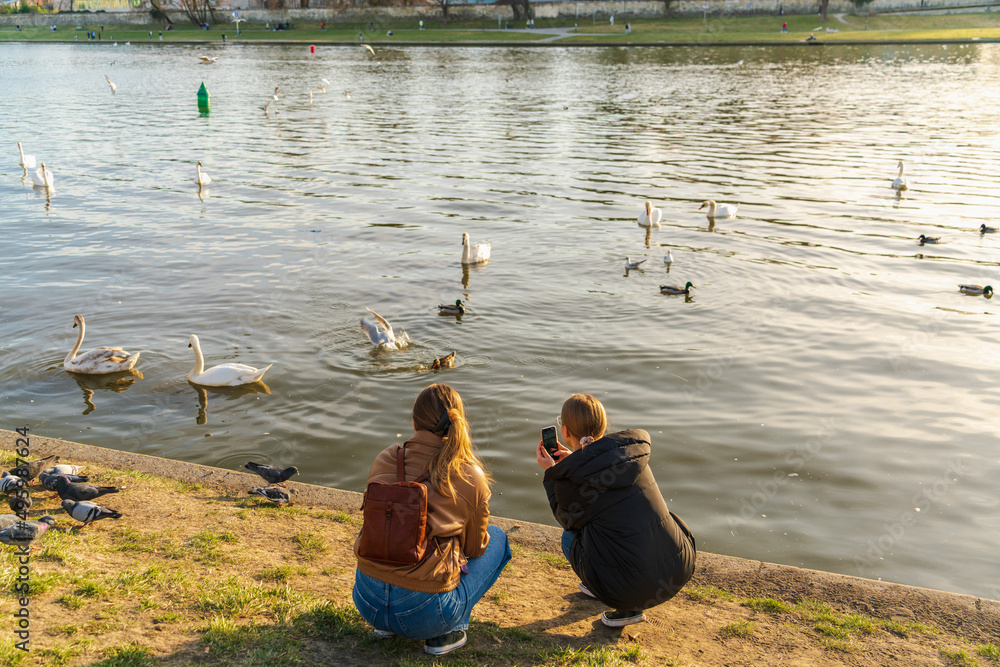 Obraz premium Two young girls in the rays of the evening sun, squatting on the banks of the river, take pictures of birds swimming in the river in front of them on a smartphone. Back view without a face
