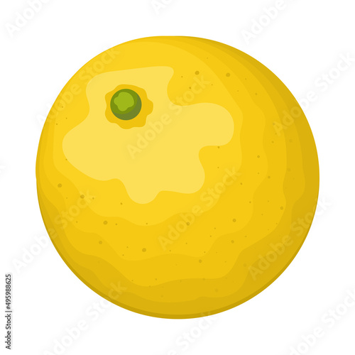 tangerine fresh fruit