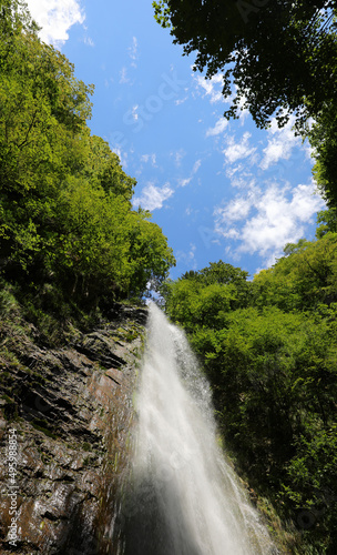 waterfall of water that flows from the top of the mountain with the trees around in the unspoiled nature