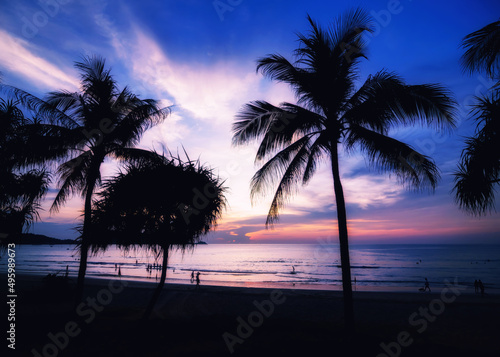 Silhouettes of palm trees at sunset over the sea, Thailand