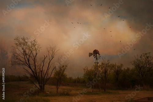 Windmill fine art