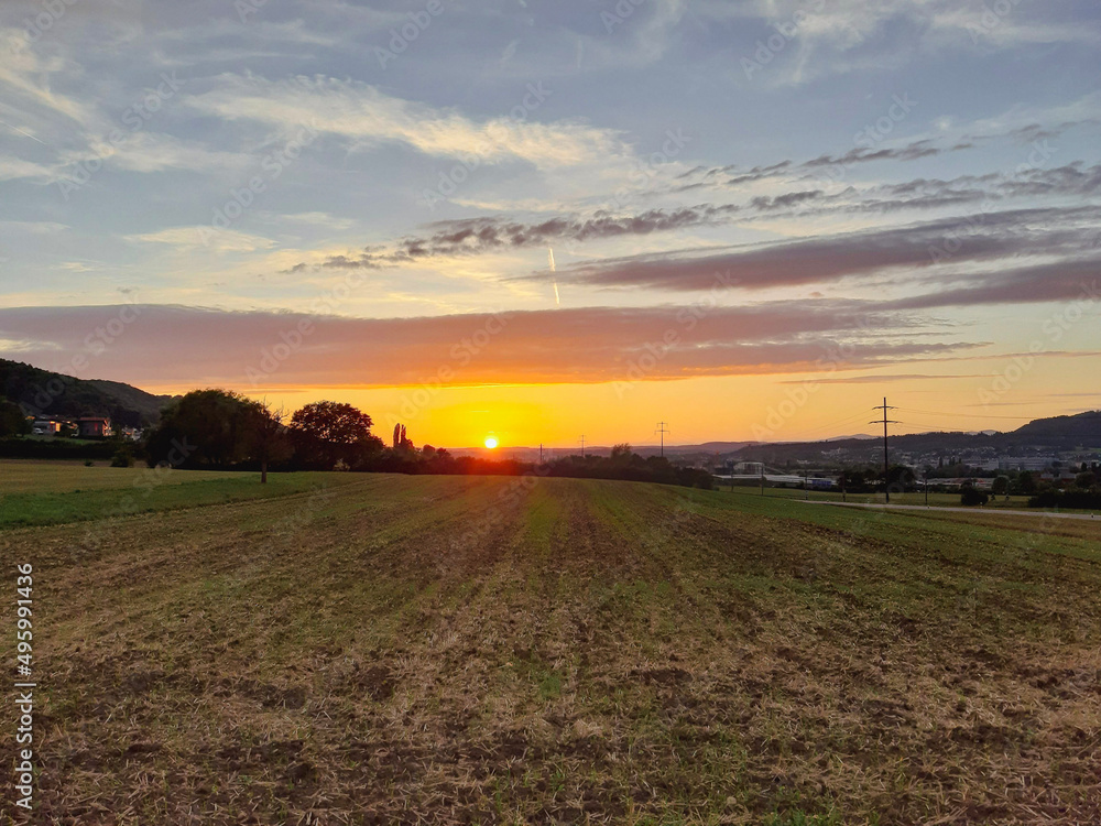 Obraz premium sunset over field